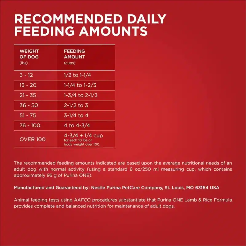 Purina ONE Dry Dog Food - Image 3