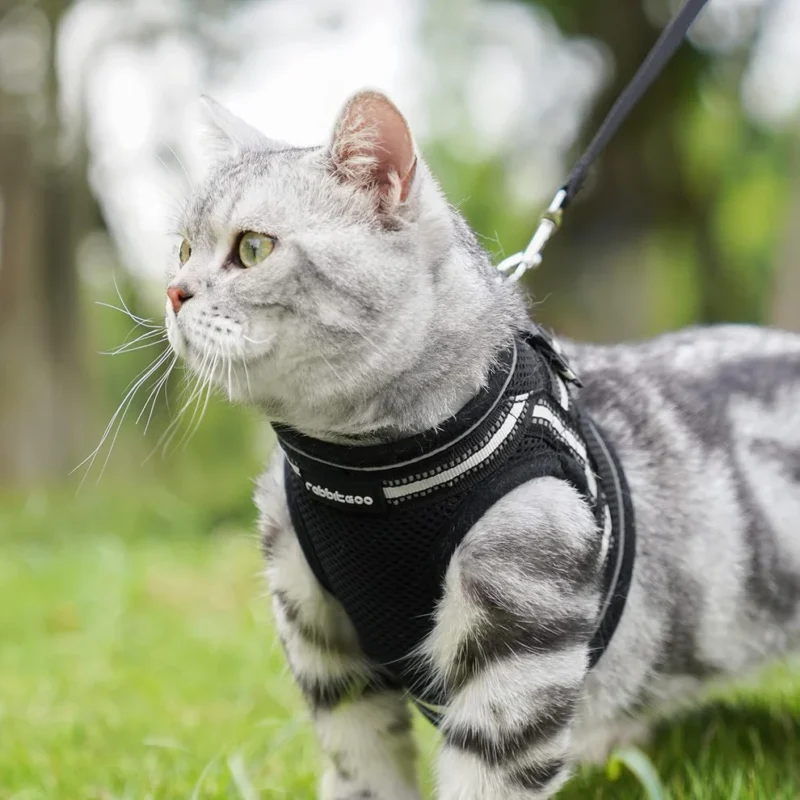 Cat Harness and Leash Set for Walking Escape Proof - Image 2